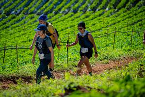 BIB: 164
                            <button type="button" onclick="openModal(19162531)" class="btn btn-primary btn-sm float-right btn-popup" data-toggle="modal" data-target=".modal-high-quality">
                        <i class="fas fa-shopping-cart"></i> Add to Cart
                    </button>
                                            <button type="button" onclick="isThisMe(19162531, true)" class="btn btn-success btn-sm float-right btn-popup btn-isme hidden" data-toggle="tooltip" data-placement="bottom" title="นี่คือรูปของคุณใช่ไหม คลิกที่นี่เพื่อเอาเข้าอัลบั้ม">
                        <i class="fas fa-plus"></i> Add to album
                    </button>
                    <button type="button" onclick="isThisMe(19162531, false)" class="btn btn-warning btn-sm float-right btn-popup btn-isnotme hidden">
                        <i class="fas fa-ban"></i> Remove from album
                    </button>